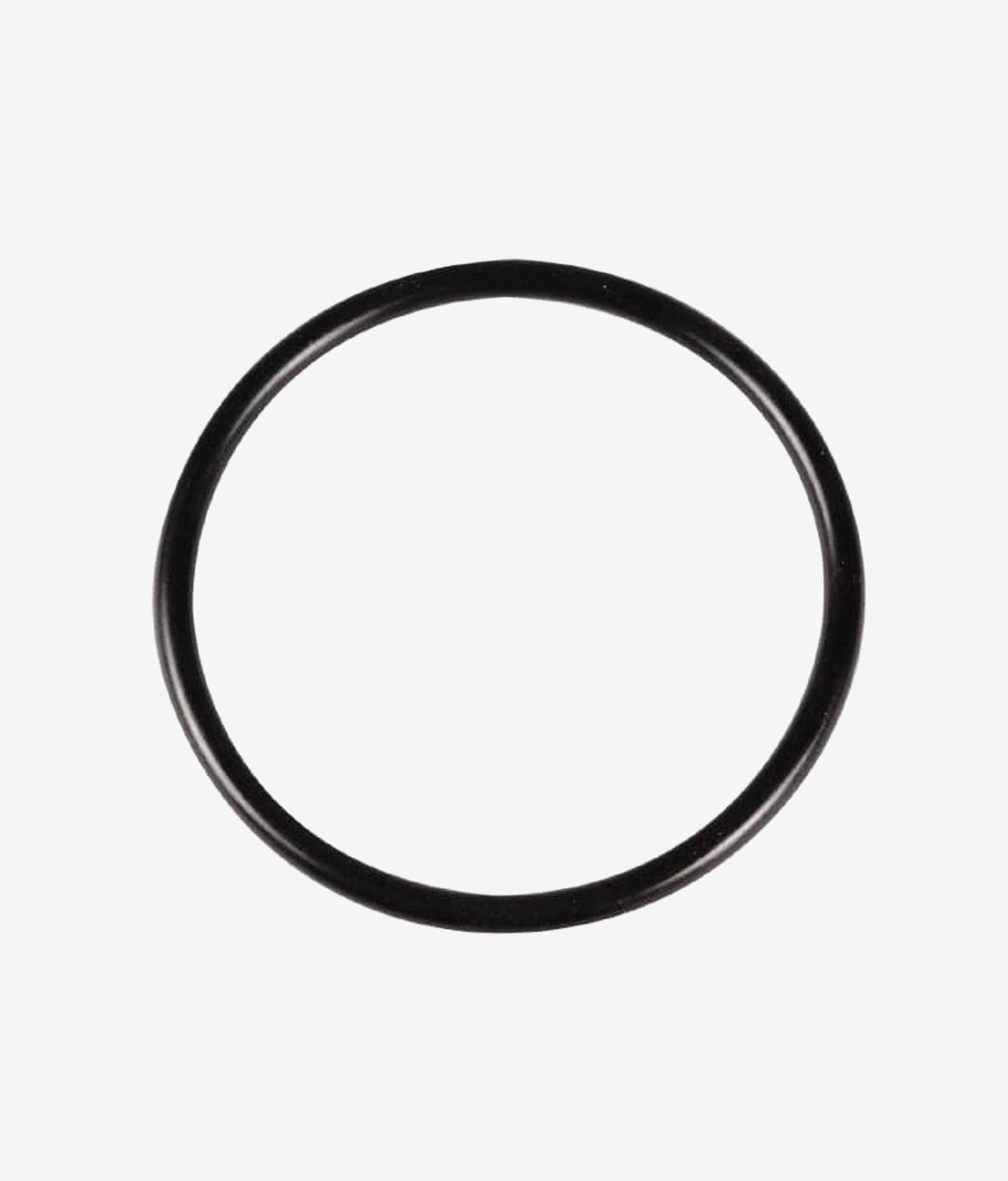 Gear Case O-Ring 301917