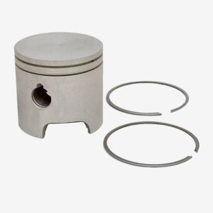 Piston and Ring Standard 5006655